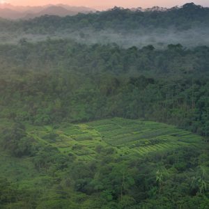 Menjaagai Kerusakan Lingkungan: Cara Sustainable Business Memperoleh Keuntungan Dalam Era Green